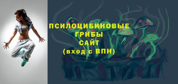 круглые Абаза