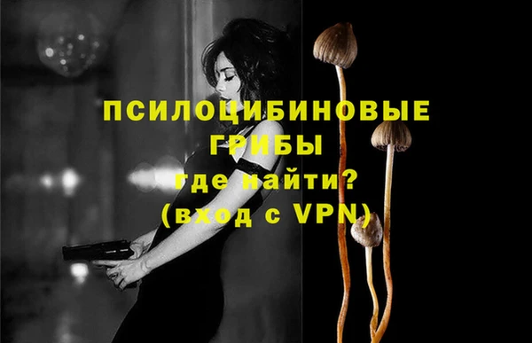 круглые Абаза