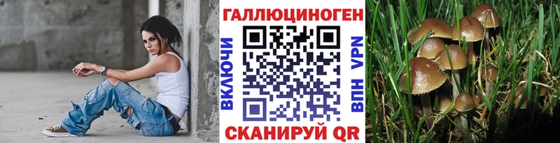 hydra как войти  Череповец  Галлюциногенные грибы прущие грибы  купить  